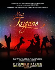 Nuit Tsigane 2012 Cirque Alexis Gruss Affiche