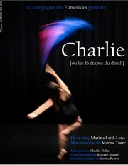 Charlie, ou les 16 étapes du deuil Thtre La Croise des Chemins - Salle Paris-Belleville Affiche