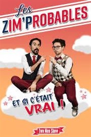 Les zim'probables dans Et si c'était vrai ! Le Bouffon Bleu Affiche