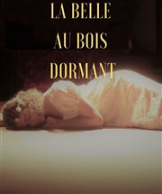 La belle au bois dormant Thtre La Pergola Affiche