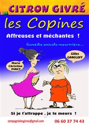 Les copines Annexe MJC Narbonne Affiche