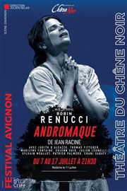 Andromaque Thtre du Chne Noir - Salle Lo Ferr Affiche