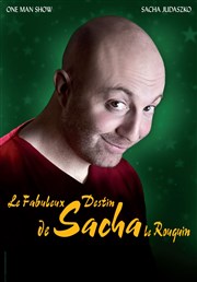 Sacha Judaszko dans Le Fabuleux Destin De Sacha Le Rouquin Le Petit Beverley Affiche