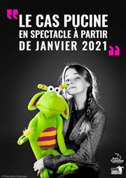 Capucine dans le cas pucine Royale Factory Affiche