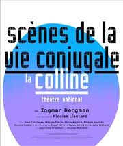 Scènes de la vie conjugale Thtre National de la Colline - Petit Thtre Affiche