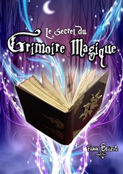 Le secret du grimoire magique Le Bouffon Bleu Affiche