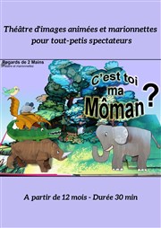 Dis...c'est toi ma môman? Le Coup de Thtre Affiche