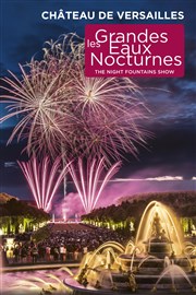 Les Grandes Eaux Nocturnes Jardin du chteau de Versailles - Entre Cour d'Honneur Affiche