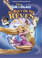 Disney sur glace | Au Bout de tes Rêves Znith Arena de Lille Affiche