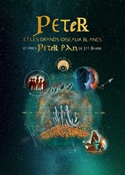 Peter et les grands oiseaux blancs, d'après Peter Pan Comdie Nation Affiche