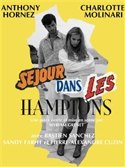 Séjour dans les Hamptons Thtre Saint Louis Affiche