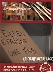 Elles étaient une fois Improvidence Affiche