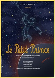 Le Petit Prince Thtre Essaion Affiche