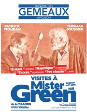 Visites à Mister Green Thtre des Gmeaux - salle du Dme Affiche