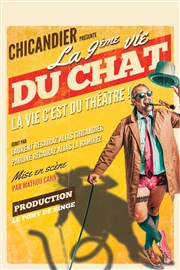 Chicandier dans La 9ème vie du chat Comdie de Tours Affiche