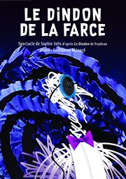 Le dindon de la farce Thtre de Nesle - grande salle Affiche