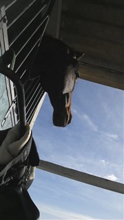 Cours d'équitation Les Ecuries du Moulin Affiche