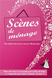 Scènes de ménage Thtre du Cours Affiche