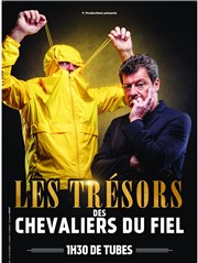 Les Chevaliers du Fiel Les Arnes du Cap d'Agde Affiche