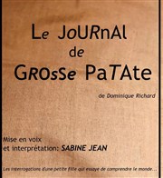 Le journal de Grosse Patate Thtre du Nord Ouest Affiche