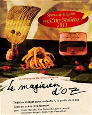 Le magicien d'Oz Sud Est Thtre Affiche