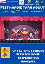 Festi-magie tarn agout Salle Louis Gucemas Affiche