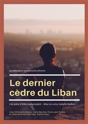 Le dernier cèdre du Liban Chteau de Morin Affiche