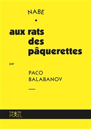 Aux rats des pâquerettes Thtre Pixel Affiche