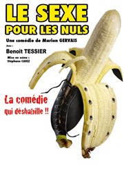 Le sexe pour les nuls Thtre le Palace - Salle 3 Affiche