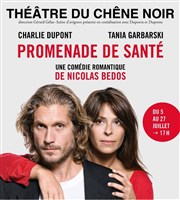 Promenade de santé Thtre du Chne Noir - Salle Lo Ferr Affiche