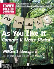 As you like it Thtre de verdure du jardin Shakespeare Pr Catelan Affiche