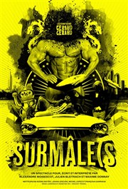 SurMâle(S Le Nouveau Ring Affiche