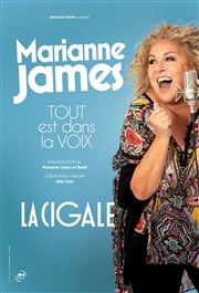 Marianne James dans Tout est dans la voix La Cigale Affiche