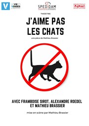 J'aime pas les chats Salle de Spectacles du Plateau de la Justice Affiche