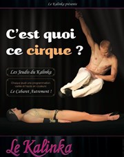 C'est quoi ce cirque ? Le Kalinka Affiche