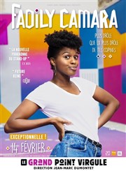 Fadily Camara Le Grand Point Virgule - Salle Apostrophe Affiche