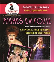 Plumes en folie Cabaret de la brche Affiche