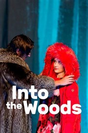 Into the woods Opra de Massy Affiche