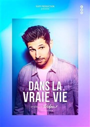 Didou Dans la vraie vie Thtre  l'Ouest Caen Affiche