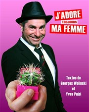 Yves Pujol dans J'adore (toujours) ma femme ! Thtre de la Cit Affiche