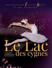 Le lac des cygnes | Angoulème Espace Carat Affiche