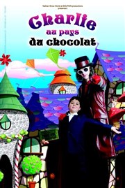 Charlie au pays du chocolat Salle polyvalente de Montfavet Affiche