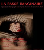 La passe imaginaire La Petite Croise des Chemins Affiche