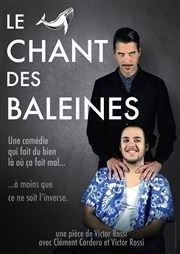 Le chant des baleines La Comdie de Limoges Affiche