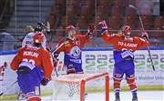 LHC : Les Lions / Dijon Patinoire Charlemagne Affiche