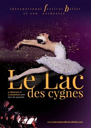 Le lac des cygnes | Perpignan Palais des Congrs de Perpignan Affiche