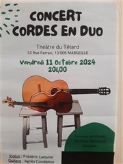 Concert cordes en duo, Violon & Guitare Caf Thtre du Ttard Affiche