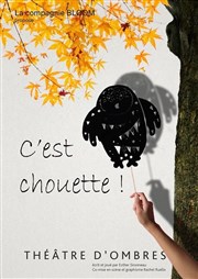 C'est Chouette ! Le mouchoir de poche Affiche