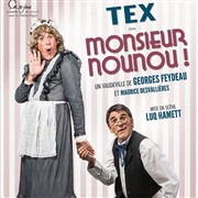 Tex dans Monsieur nounou TMP - Thtre Musical de Pibrac Affiche