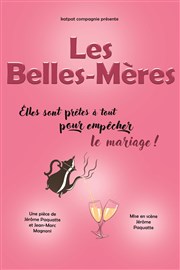 Les Belles-Mères Salle Flix Martin Affiche